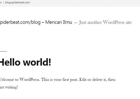 Cara install wordpress nginx debian 9 final