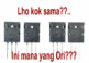 cara membedakan thosiba 5200 yang asli dan palsu